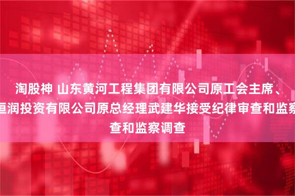 淘股神 山东黄河工程集团有限公司原工会主席、山东恒润投资有限公司原总经理武建华接受纪律审查和监察调查