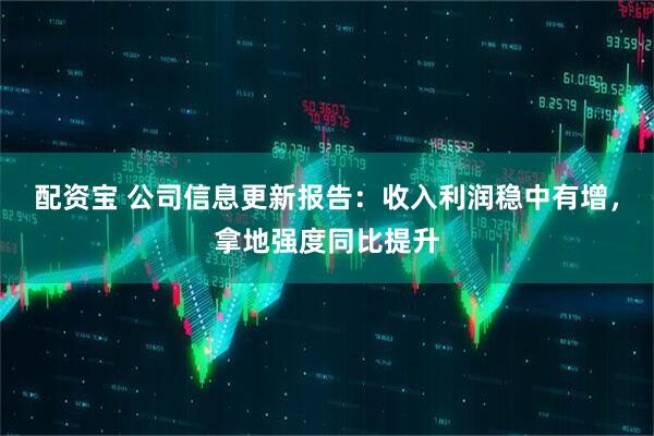 配资宝 公司信息更新报告:收入利润稳中有增,拿地强度同比提升