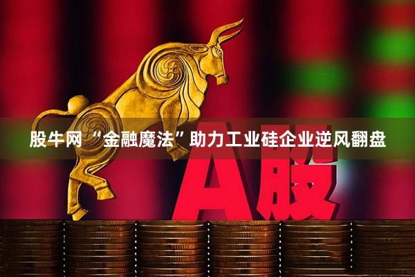 股牛网 “金融魔法”助力工业硅企业逆风翻盘