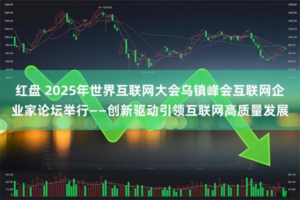 红盘 2025年世界互联网大会乌镇峰会互联网企业家论坛举行——创新驱动引领互联网高质量发展