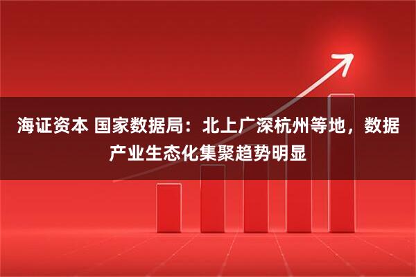 海证资本 国家数据局:北上广深杭州等地,数据产业生态化集聚趋势明显